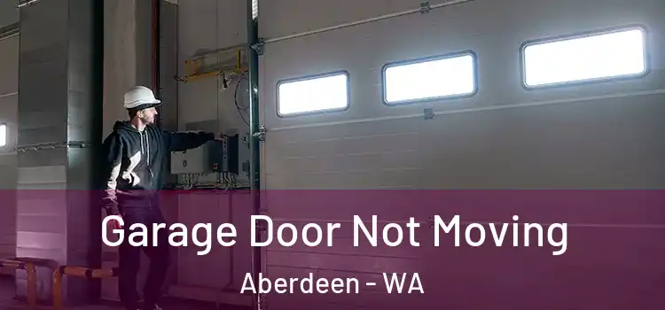  Garage Door Not Moving Aberdeen - WA