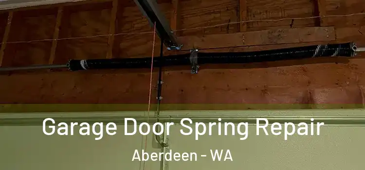  Garage Door Spring Repair Aberdeen - WA
